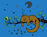 Desenho O gato ea luna pintado por Nilton27