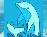 Desenho Salpicos golfinho pintado por Margarida-