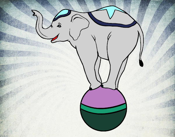 Desenho Elefante equilibrista pintado por Ana24