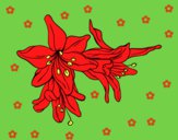 Desenho Flores do lilium pintado por Fofurinha