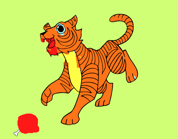 O tigre-de-bengala