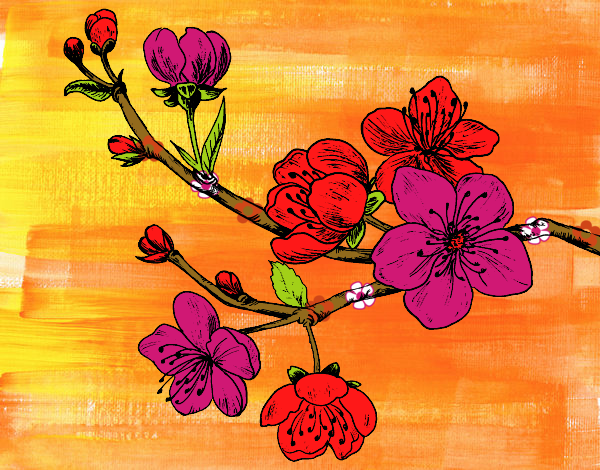 Desenho Filial da cereja pintado por calissa