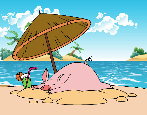 Porco na praia