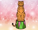 Desenho Tigre do circo pintado por ImShampoo