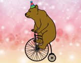 Desenho Urso em uma bicicleta pintado por ImShampoo
