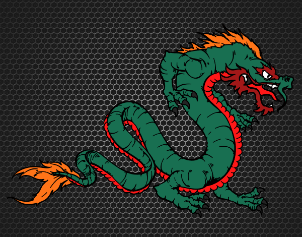 dragon do japao e da china