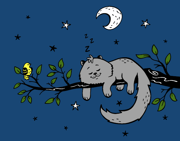 Desenho O gato ea luna pintado por Roza