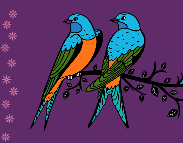 Desenho Par de pássaros pintado por Roza