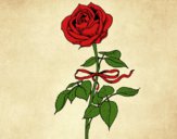 Desenho Uma rosa pintado por Fheds