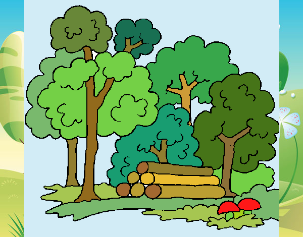 Desenho Bosque pintado por Sil