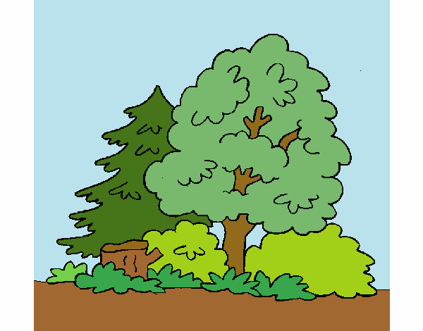 Desenho Bosque pintado por Danguinha