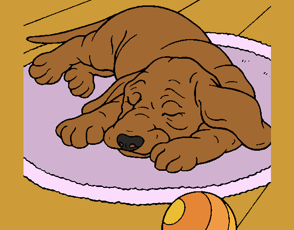 Desenhos para colorir de desenho de um cão dormindo para colorir  