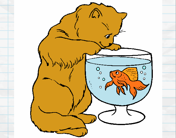 Desenho Gato a olhar para o peixe pintado por Danguinha