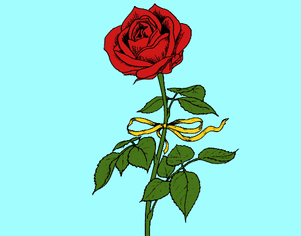 Desenho Uma rosa pintado por cary