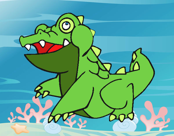 Crocodilo-de-água-s algada