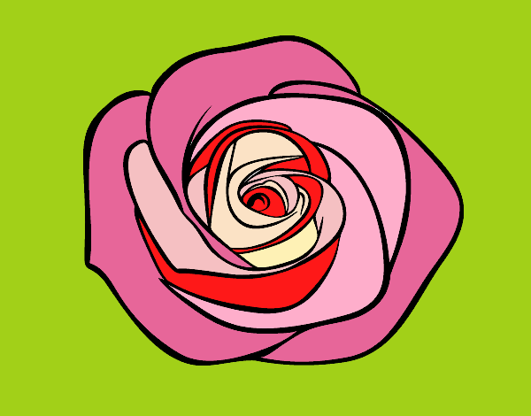 Desenho Flor de rosa pintado por Nati2606