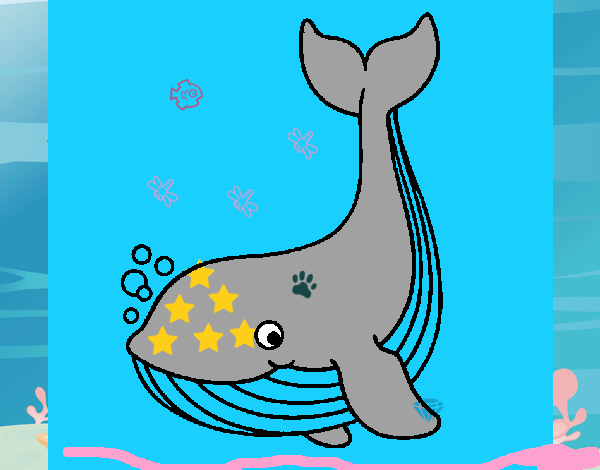 Pequena baleia