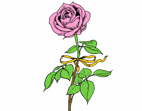 Desenho Uma rosa pintado por Nati2606