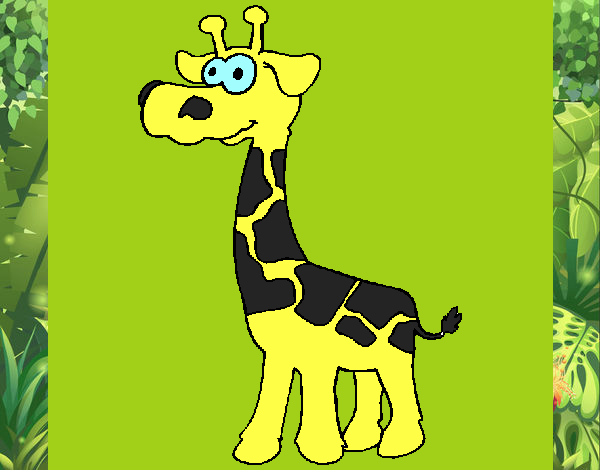 Girafa 3