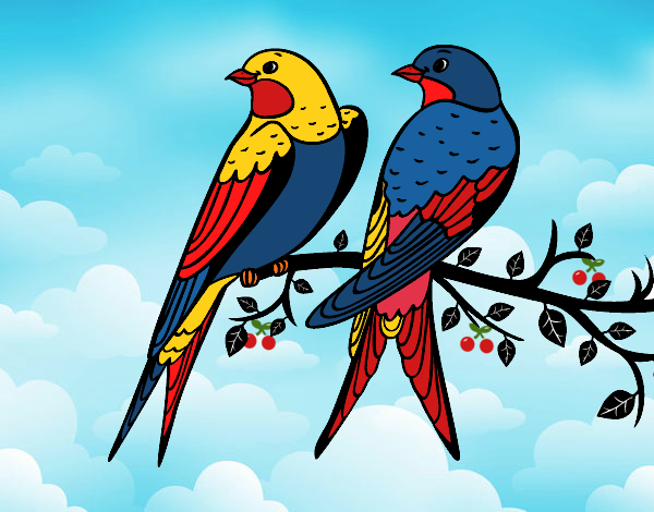 Desenho Par de pássaros pintado por Andreamarc