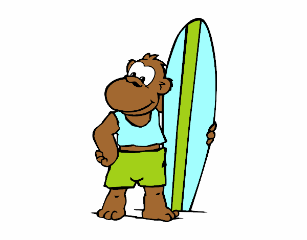 Macaco surfista