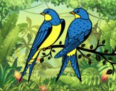 Desenho Par de pássaros pintado por Luisinho