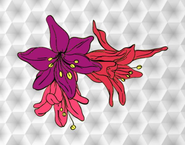 Desenho Flores do lilium pintado por Juju22