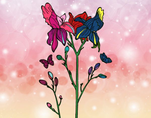 Desenho Flor de Iris pintado por Juju22