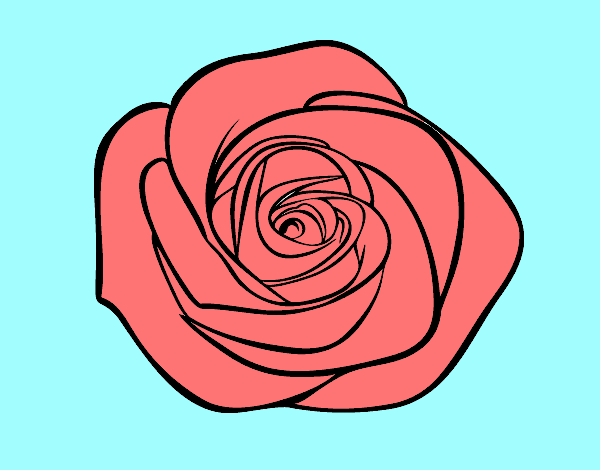 Desenho Flor de rosa pintado por elsaantone