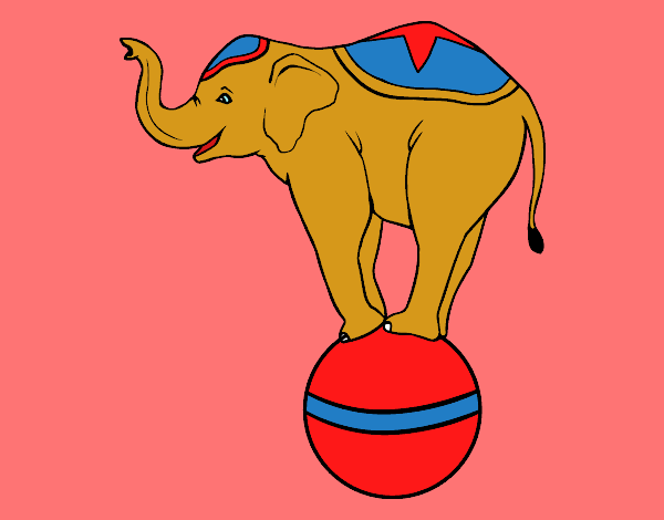 Desenho Elefante equilibrista pintado por soniamara