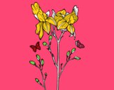 Desenho Flor de Iris pintado por lelelti