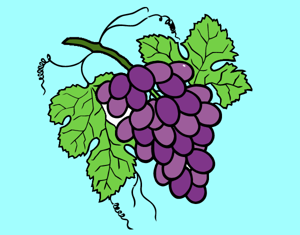 Desenho Cacho de uvas pintado por BetaMarcus