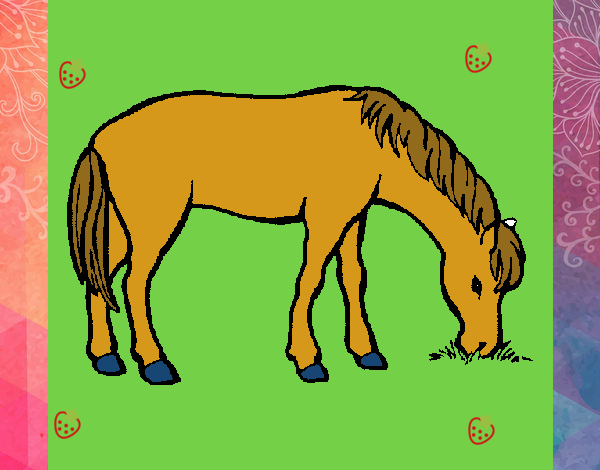 Cavalo a comer 