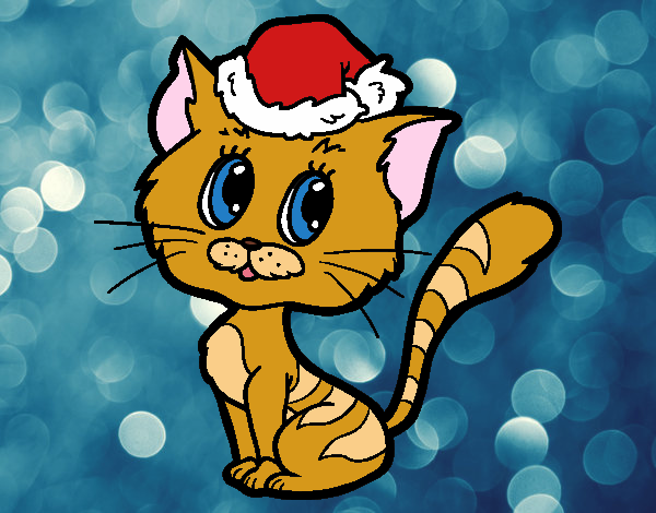 Um gato do Natal