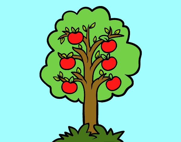 Uma macieira
