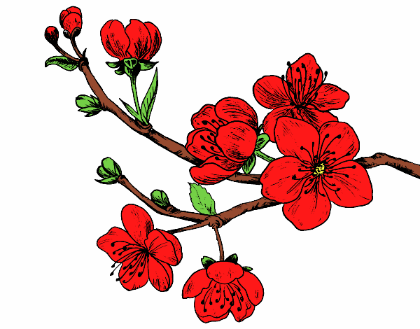 Desenho Filial da cereja pintado por tissamatos