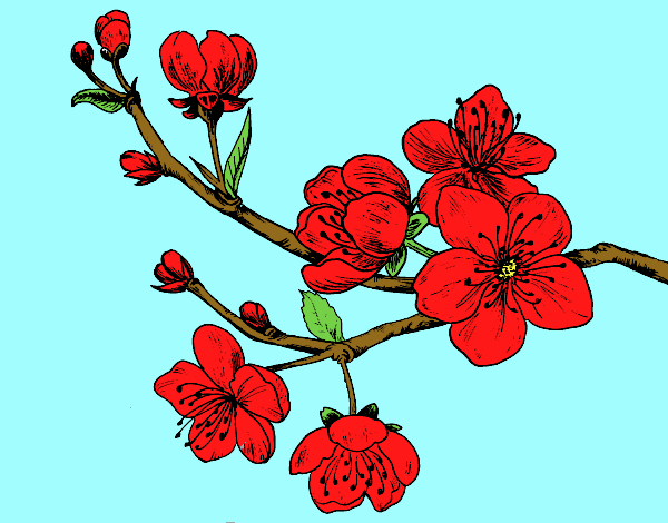 Desenho Filial da cereja pintado por zuleikapas