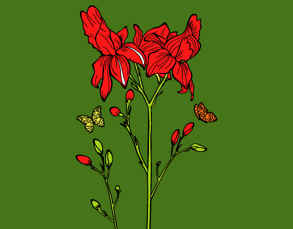Desenho Flor de Iris pintado por zuleikapas