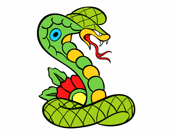 Desenho de Cobra bebê pintado e colorido por Usuário não