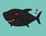Desenho Tubarão dentuço pintado por CaioHenriq