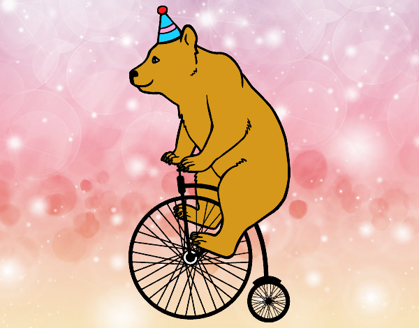 Urso em uma bicicleta
