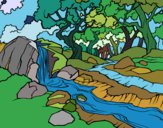 Desenho Paisagem da floresta com um rio pintado por jmario