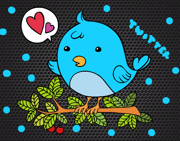 Desenho Pássaro do Twitter pintado por -Kellen