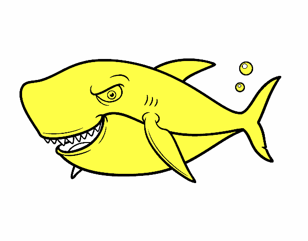 Desenho Tubarão dentuço pintado por dadal
