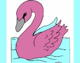 Desenho Cisne pintado por Aceribeiro