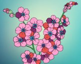 Desenho Flor de cerejeira pintado por jmario