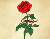 Desenho Uma rosa pintado por pintorzin