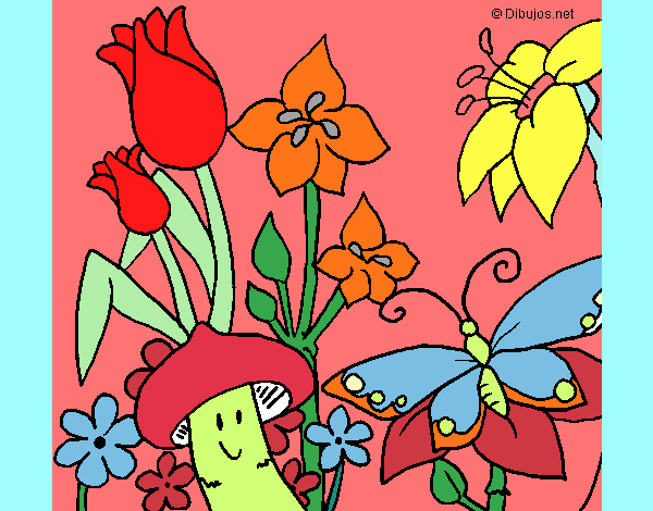 Desenho Fauna e Flora pintado por Celia50