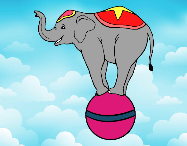 Desenho Elefante equilibrista pintado por IaraG