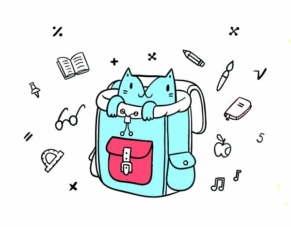 Gato em uma mochila